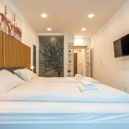 Zenith Apartment